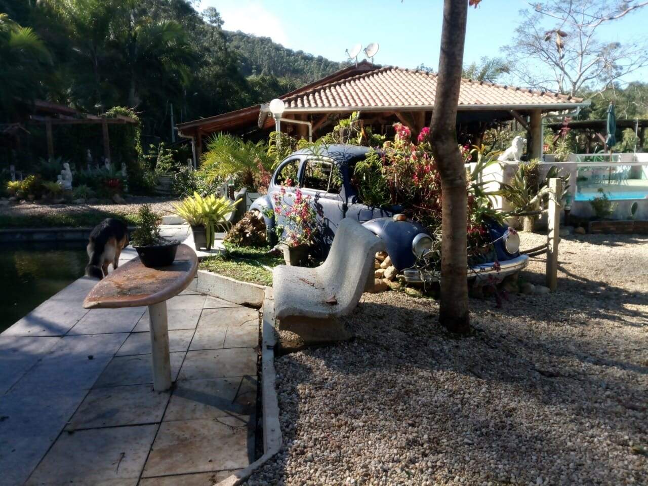 Sítio/Chácara à venda no bairro Águas Negras: 